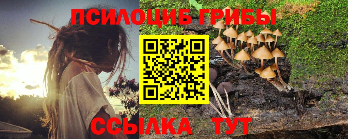 Псилоцибиновые грибы мухоморы Кимры